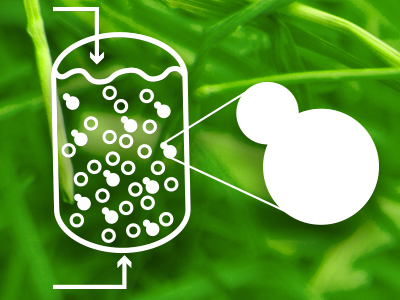Industrial Fermentation
