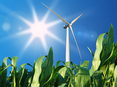 Sustainable Energy: Design A Renewable Future