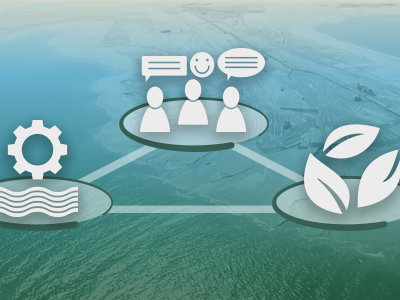 Beyond Engineering: Building with Nature