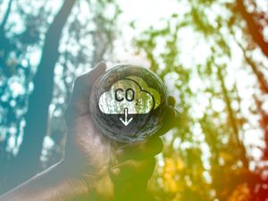 image Designing Climate-Neutral Buildings and Transport