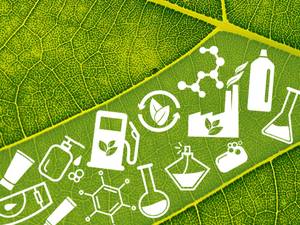 image Biobased Products for a Sustainable (Bio)economy