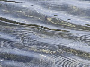 image Water Management